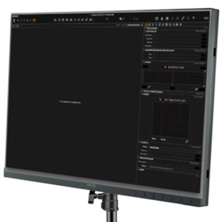 BenQ SW240